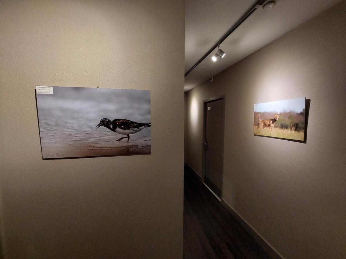 Logis Hotel - Les Pasteliers Lavaur  Dış mekan fotoğraf